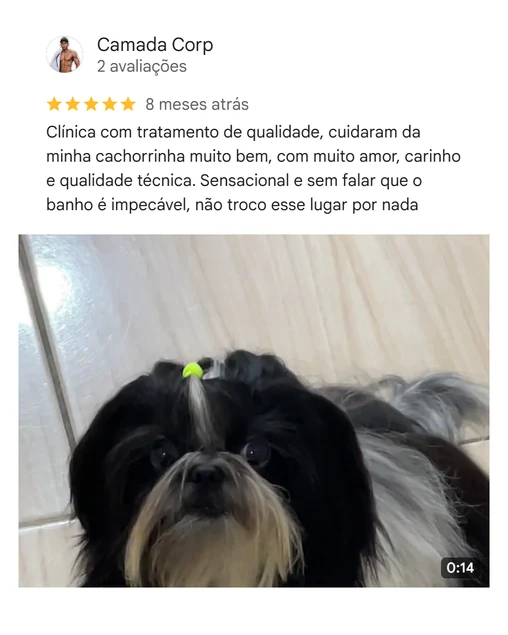 Avaliação de cliente no Google sobre a Cristal